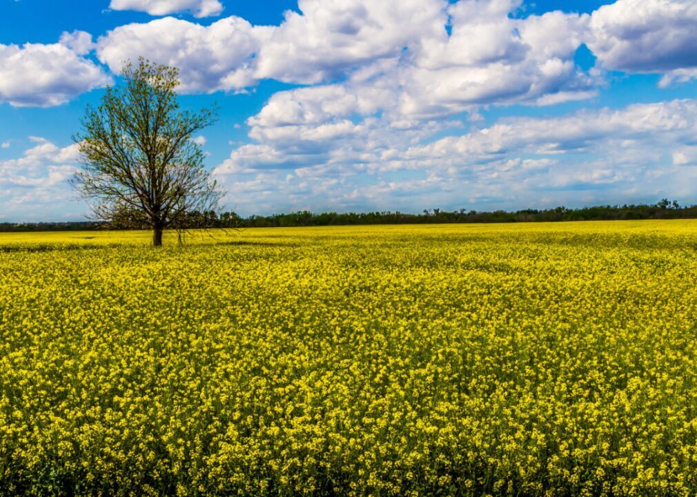 Oklahoma